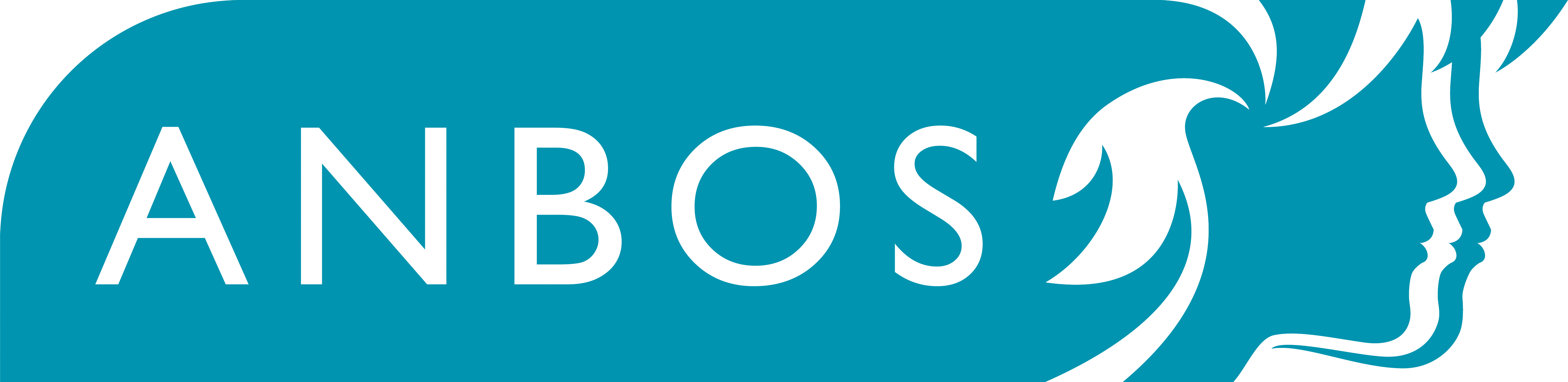 Je zit goed bij ANBOS logo PMS320